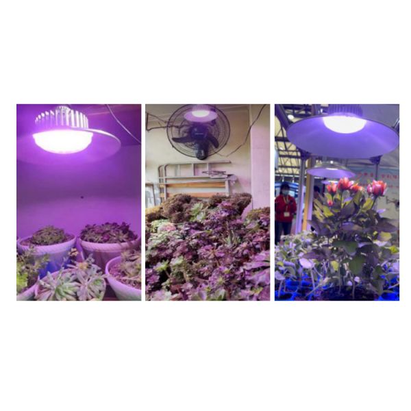 Greenhouse Planting 36W/50W Full Spectrum LED Grow Light with High Luminous Efficiency
