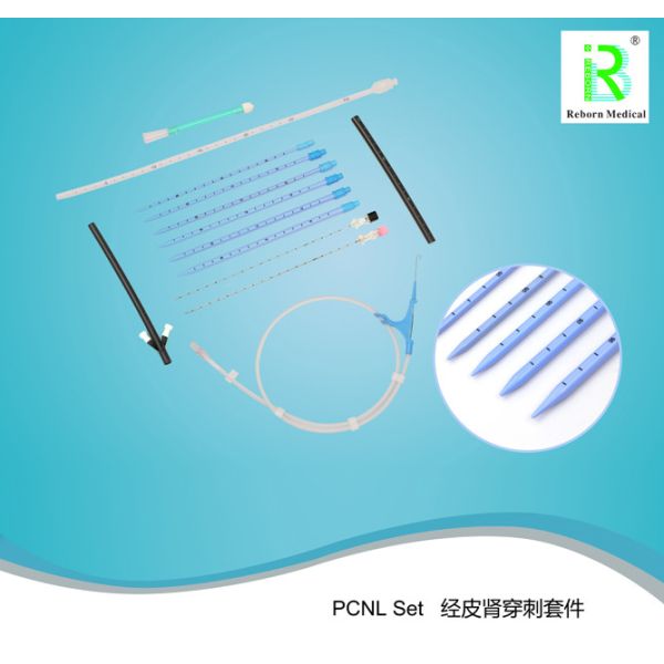 Medical Disposable PCNL Dilator Set Puncture Needle Renal Dilator PTFE PE