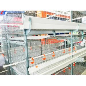 China Hot Dip Galvanized Steel Chicken Layer Cages With Automatic Equipment on sale