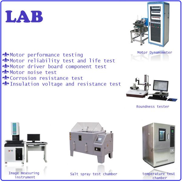 230V 800W High Torque Brushed Permanent Magnet DC Motor For Coffee Maker