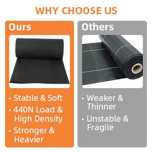 Why Choose Us