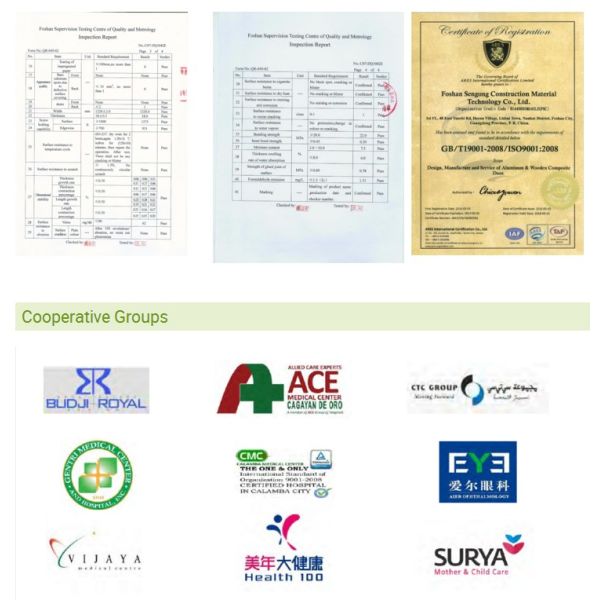 Modern Aluminum frame Customized Commerical Home use flush door design