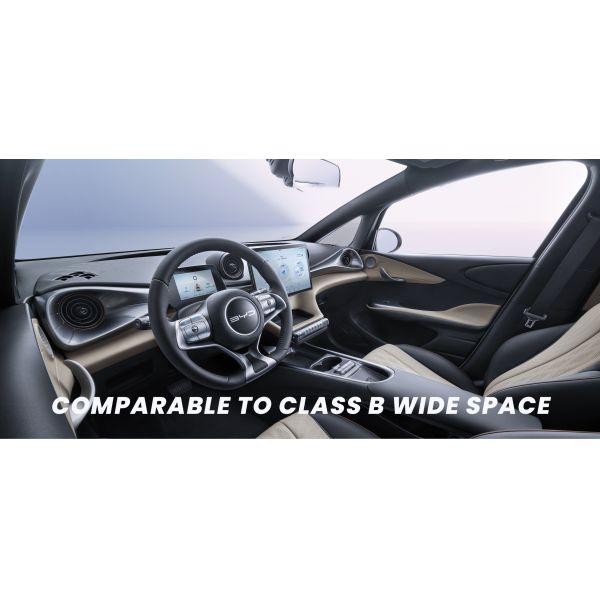 2022 BYD Dolphin EV Car Vehicles Zero Emission Vitality Edition