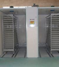 Quality Automatic Single Stage Incubator 90 Degree Turning With 384 Trays for sale