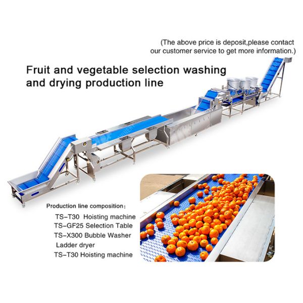 Automatic Fruit And Vegetable Processing Line Selection Washing Drying