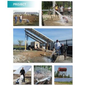 1200w Agriculture Water Pump Certificate ROHS Solar Submersible Pump