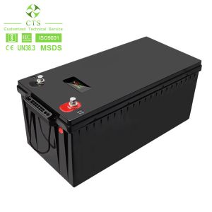 Quality Lightweight 24V 100Ah LiFePO4 Lithium Ion Battery Pack for sale