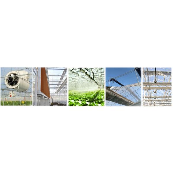 Multi-Span Greenhouse for Temperature Controlled Hydroponics