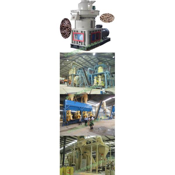 Best Price Wood Pellet Machine/Pellet Mill with CE /Feed Pellet Manufacturing Equipment