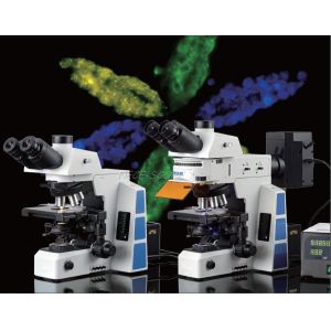 Optical Bright Field Fluorescence Microscopy , Led Fluorescent Inverted