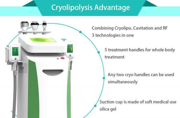 Vertical 2 cryo handles vacuum cryolipolysis fat freeze slimming machine for salon use