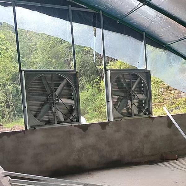 Big air Volume 50 56 Inch 380v/220v Factory Poultry Farm Exhaust Wall Mounted Ventilation Industrial Exhaust Fan