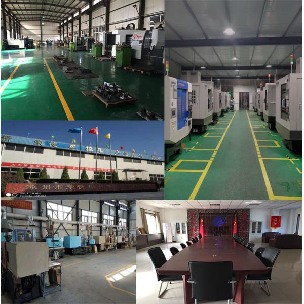 Main Material Plastic Iron Pet Skylight Dog House for Large Dogs Customized Color Indoor/Outdoor Luxury Kennel