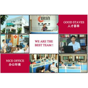 Guangdong Linxin Intelligent Technology Co., Ltd.