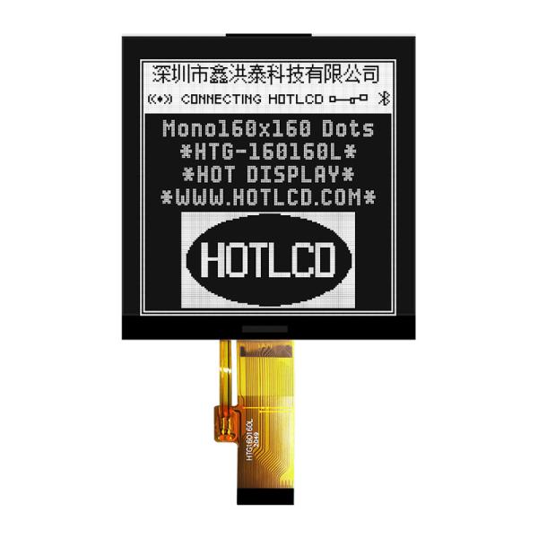 160X160 Square COG LCD Module FSTN Display With Side White Backlight HTG160160L