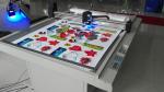 Customized Conveyor Belt Machine With MAXWELL CCD Video Registration System