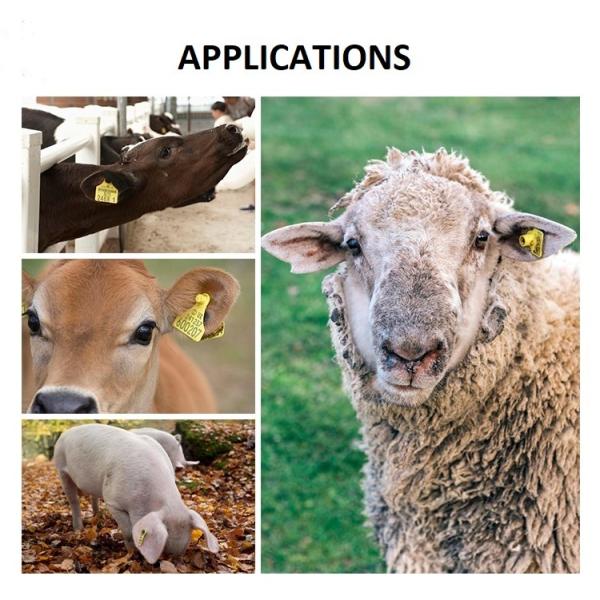 Animal Husbandry Goat Numbered Cattle Ear Tags Blank RFID TPU Material