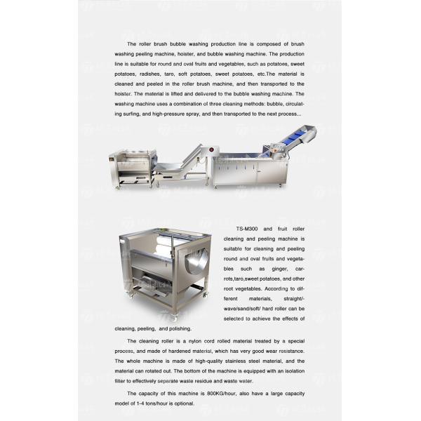 Multifunctional Vegetable And Fruit Processing Line Hair Roller Bubble Cleaning Production Line