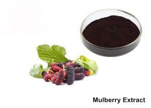Quality Natural Mulberry Extract Powder for sale