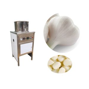380 V Garlic Processing Machine