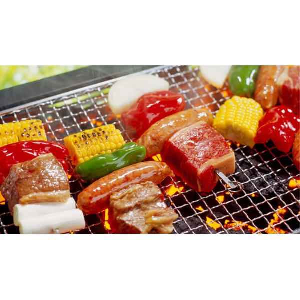 Small Fire Sense Japanese charcoal ceramic BBQ grill Manufacturer