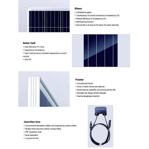 310W Poly PV Solar Panel for Solar Power System