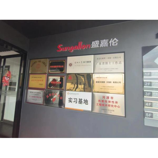 sungallon plastic (heyuan) company limited