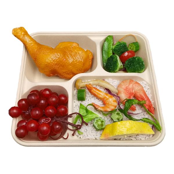 Sugarcane Bagasse 3-4 Compartment Food Container Biodegradable With Lid
