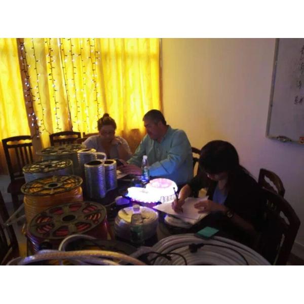 2016 hot sale 2 wires round LED flexible Neon rope light red/yellow/green/blue color