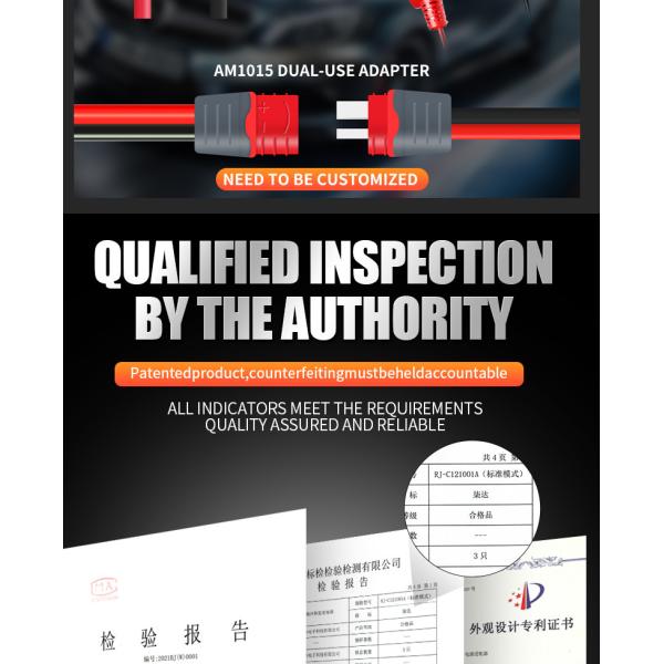 12V 24V PWM Intelligent Lead Acid Battery Charger ISO9001