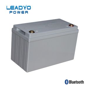 Quality Sealed 12V 120ah Lifepo4 Battery With Bluetooth BMS ABS Case for sale