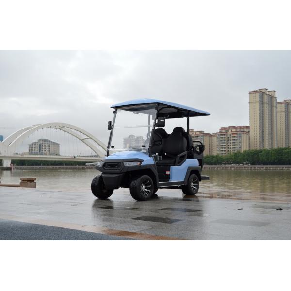 2 4 6 Seat Electric Lithium Battery Sightseeing Golf Cart Golf Buggy Car with DOT Comfortable and Spacious