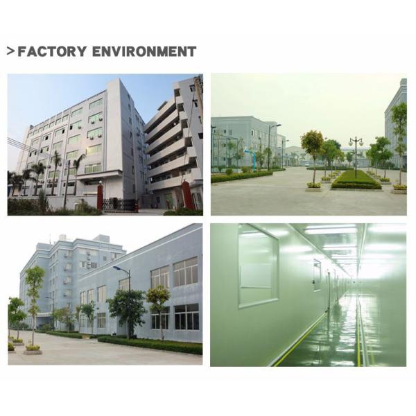 100% Cypress Pure Natural Essential Oils 5kg COA Therapeutic Grade