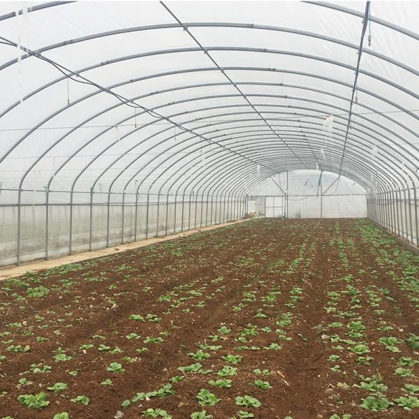 User-Friendly Single-Span Agricultural Greenhouses for Large Agricultural Operations