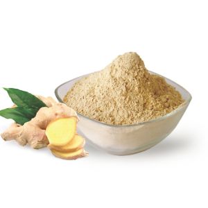 Dehydrated Dried Organic Ginger Root Powder 10% Moisture