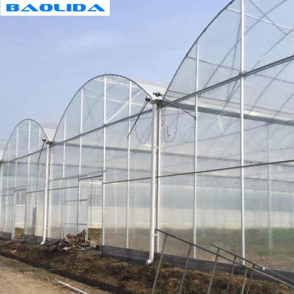 Agriculture Poly Tech Greenhouse Cultivation Or Breeding Easy To Construct