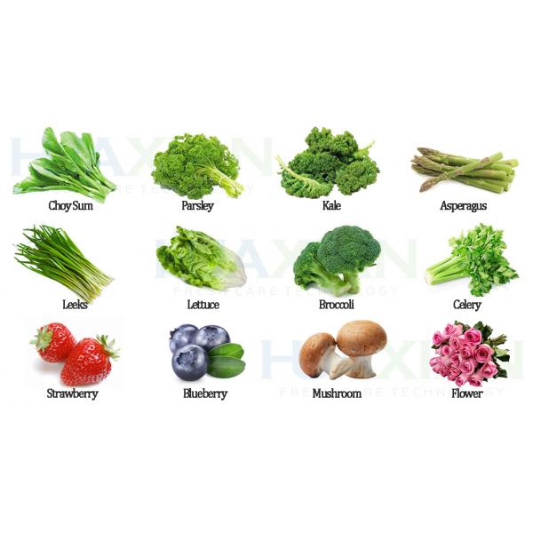 High Quality 1 Pallet Stainless Steel Pre Cooler, Vegetable Vacuum Cooler Machine for Farm