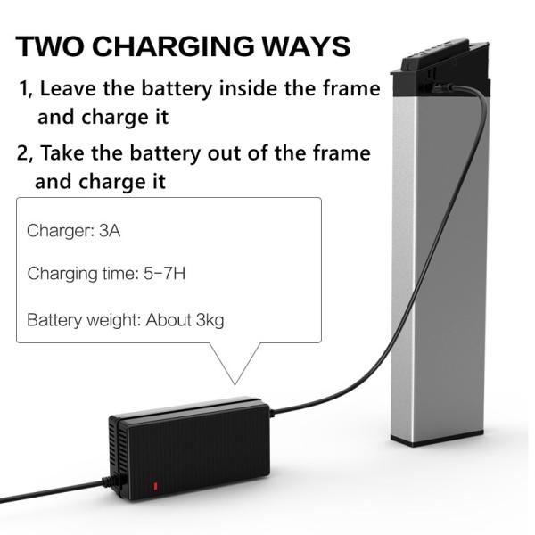 48V 20 Inch Fat Tire Folding Electric Bike Shimano Gear 6061 Alu 35-40km