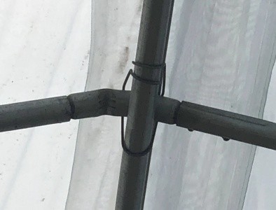 Full Open Roof Ventilation Tunnel Type Greenhouse for Agricualtural Farming