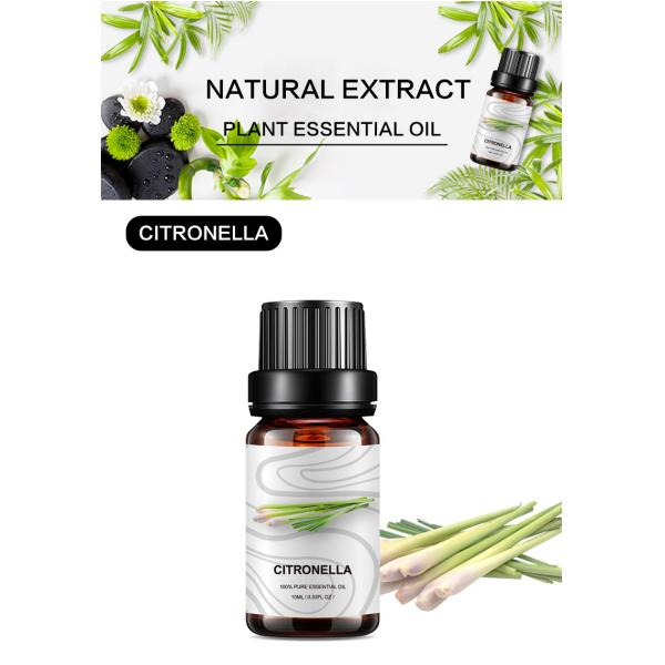 10ml Organic Citronella Essential Oil Fragrant Essential Oil MSDS