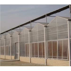 Vegetable Fruits Flowers Multi Span Agricultural Greenhouses With Hydroponic