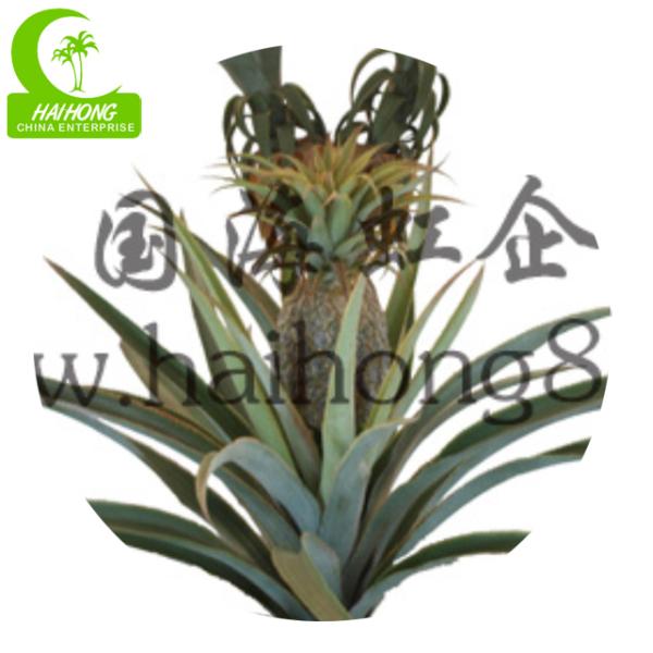 Aesthetic Lifelike Handmade H140cm Fake Pineapple Tree With Pot