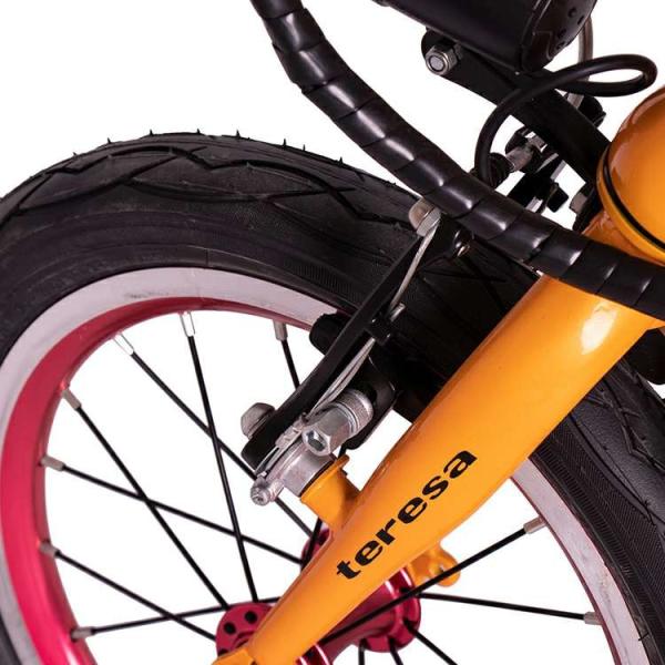 12 Inch Folding Electric Bike Lightest Battery 36v 250w Bicycles RICHBIT Teresa