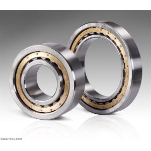 China NSK / NTN  Cylindrical Roller Bearing N202 11mm Width ISO9001 2008 on sale