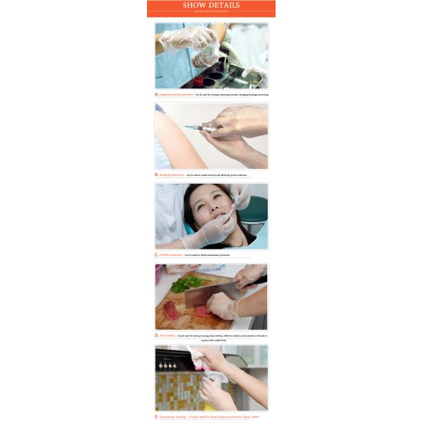 virus Isolation Powder Free Vinyl Examination Gloves