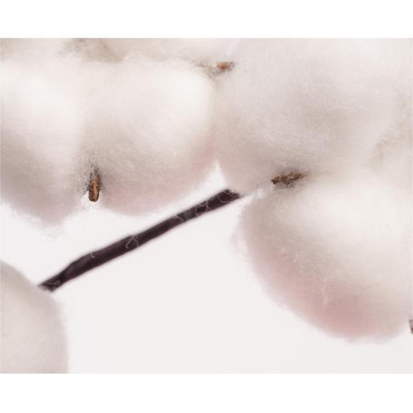 100% Cotton Hand Towel Absorbent and Sustainable Striped Pattern for Sensitive Skin