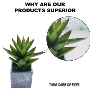 Plastic Artificial Plants Succulents Wedding Indoor Decorative
