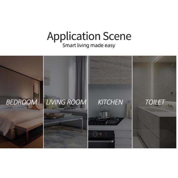 Aluminium Bezel Tuya Smart Switch