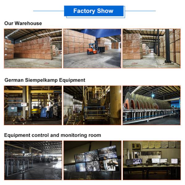 8 mm 12mm 15mm 18mm Thickness Formica Plywood Sheet Laminated Plywood Wood Walnut Sheet