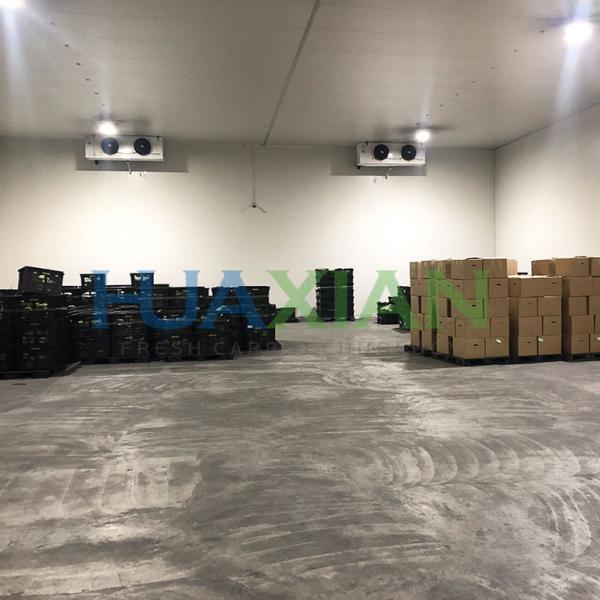 China Refrigeration Unit Industrial Walk in Blast Deep Freezer Food Storage Cold Room